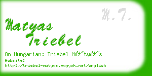 matyas triebel business card